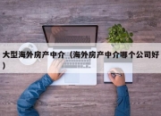 大型海外房产中介（海外房产中介哪个公司好）