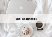 沿袭（沿袭的意思）