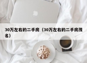 30万左右的二手房（30万左右的二手房茂名）