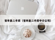 宝丰县二手房（宝丰县二手房中介公司）
