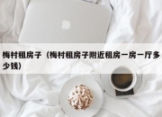 梅村租房子（梅村租房子附近租房一房一厅多少钱）