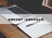 北海外沙房产（北海外沙怎么样）