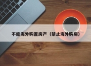 不能海外购置房产（禁止海外购房）