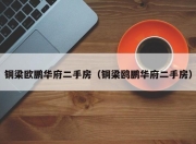铜梁欧鹏华府二手房（铜梁鸥鹏华府二手房）