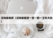 泾阳县租房（泾阳县租房一室一厨一卫东大街）