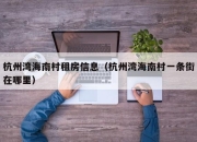 杭州湾海南村租房信息（杭州湾海南村一条街在哪里）