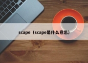 scape（scape是什么意思）